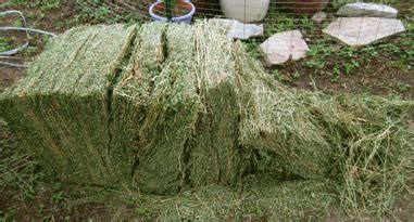 How many flakes in a bale of alfalfa How many flakes are in a 2 string bale of alfalfa? Each bale has 16 flakes